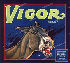 Ads Vintage Prints