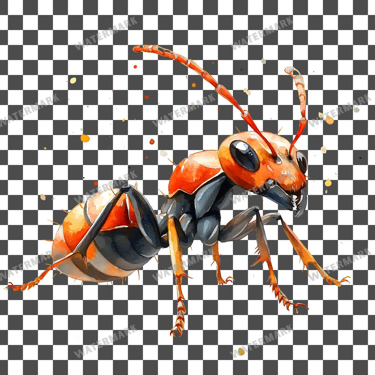 Animals Clipart Pngs