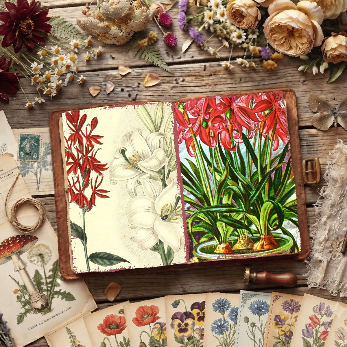 Botanical Illustrations Digital Papers