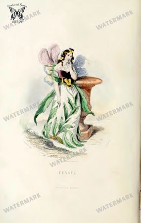 Botanical Vintage Prints
