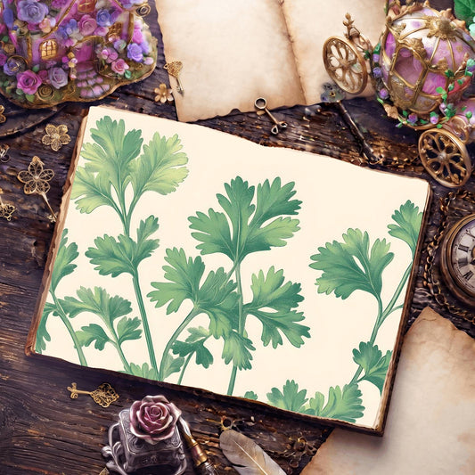 Cilantro Digital Papers