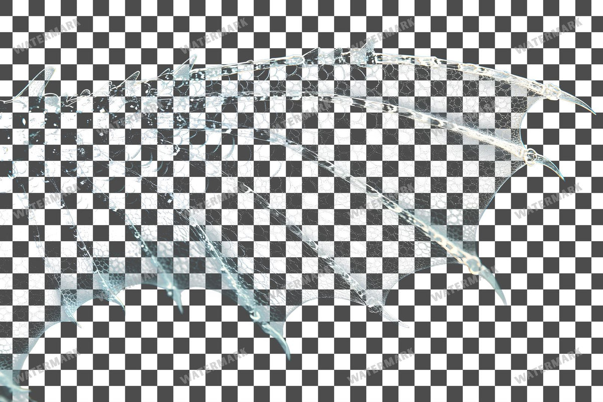 Dragon Wing Transparent Overlay Pngs