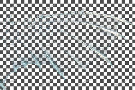 Dragon Wing Transparent Overlay Pngs