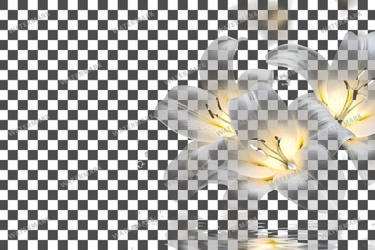 Easter Lilies Transparent Overlay Pngs