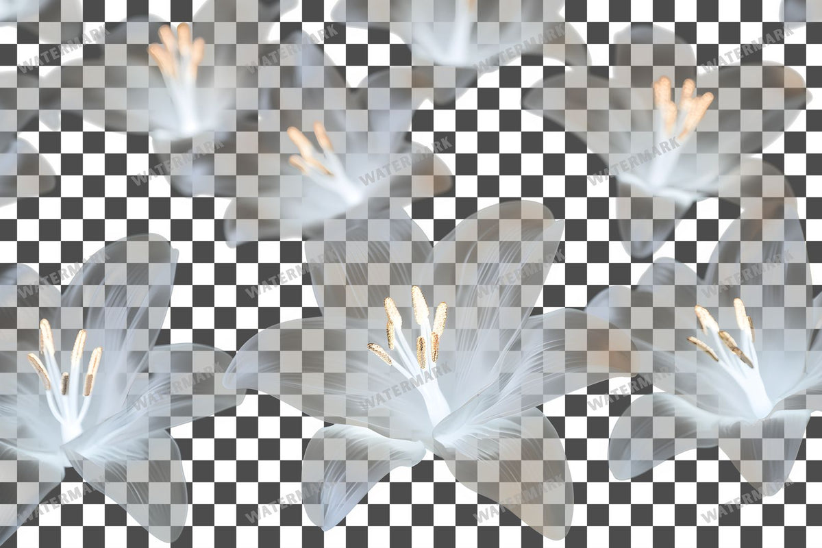 Easter Lilies Transparent Overlay Pngs