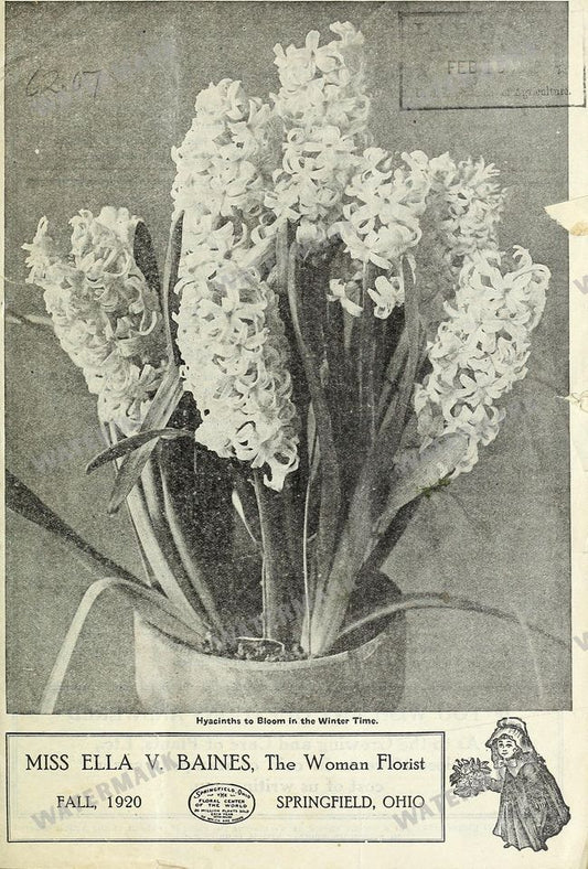 Floral Ads Vintage Prints