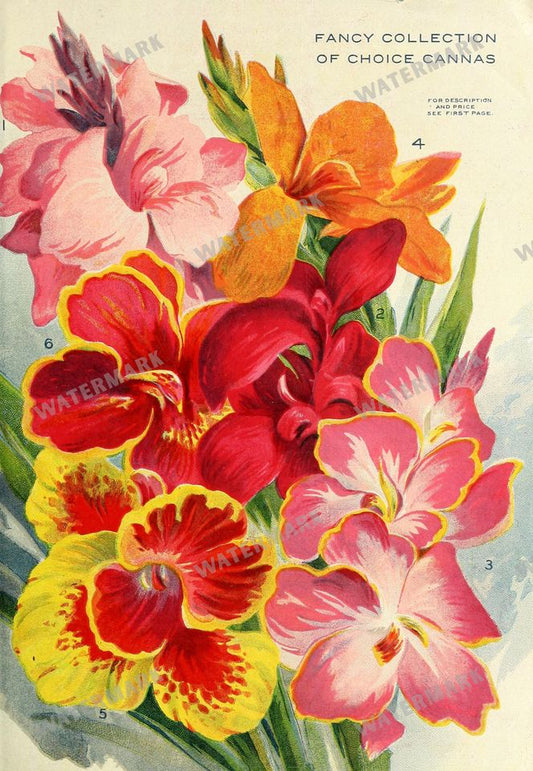 Floral Ads Vintage Prints