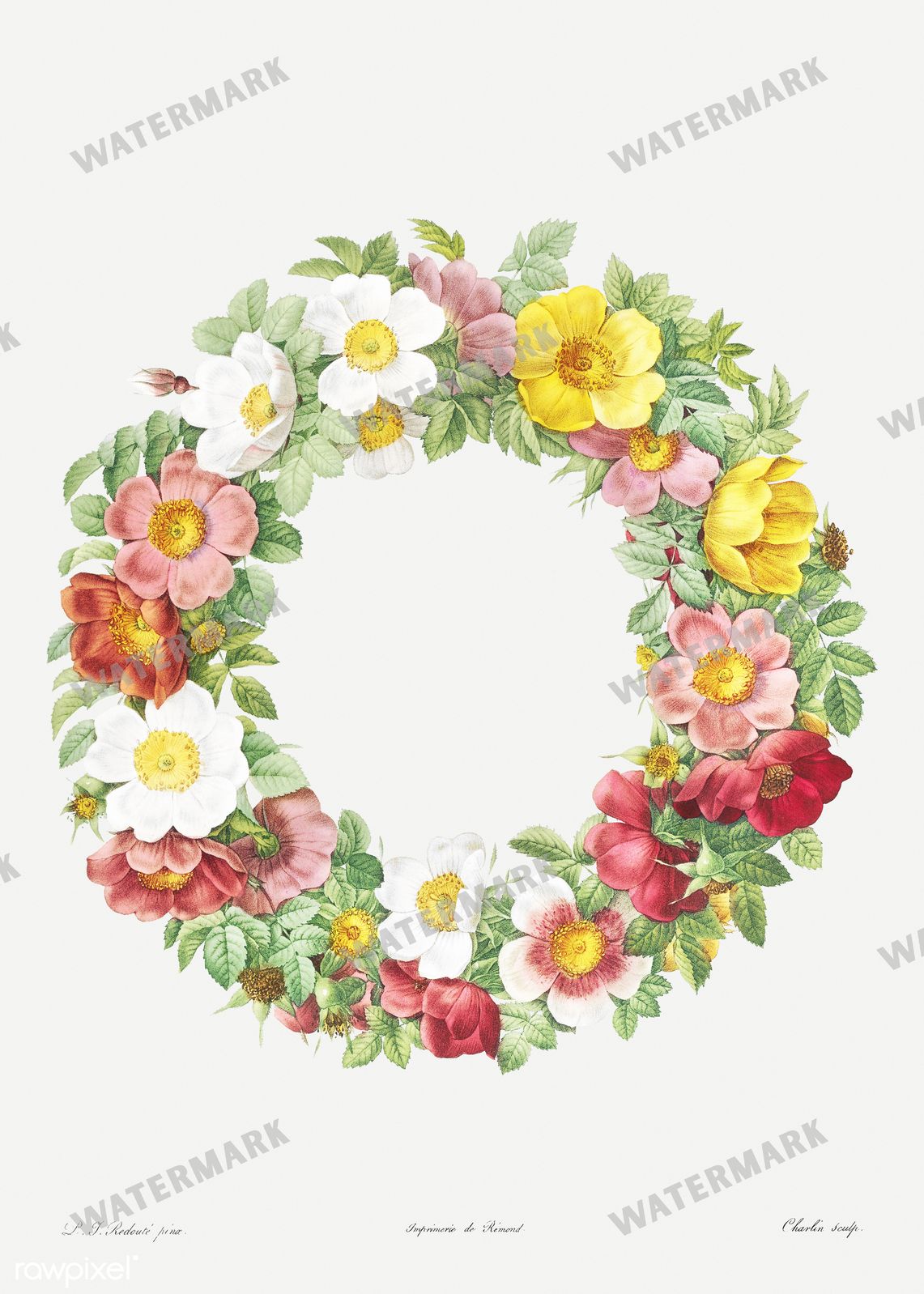 Floral vintage illustration, printable digital download, image 1