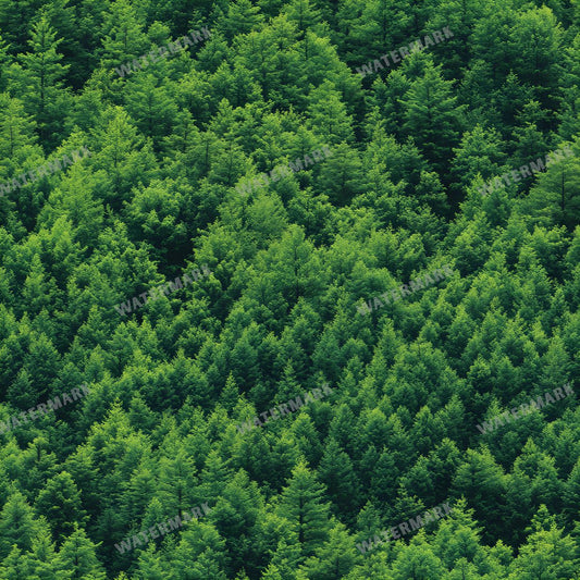 Forest Seamless Pattern