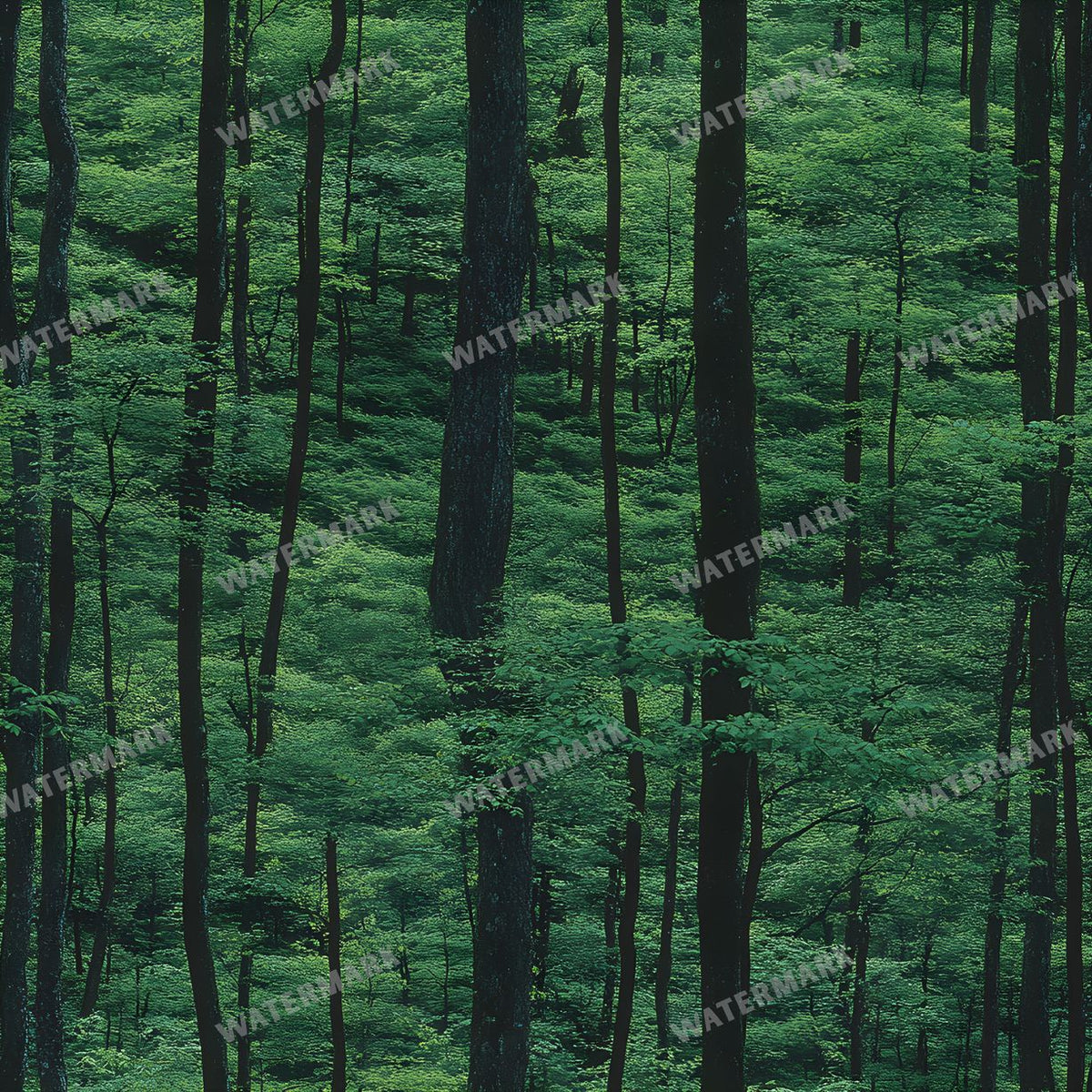 Forest Seamless Pattern