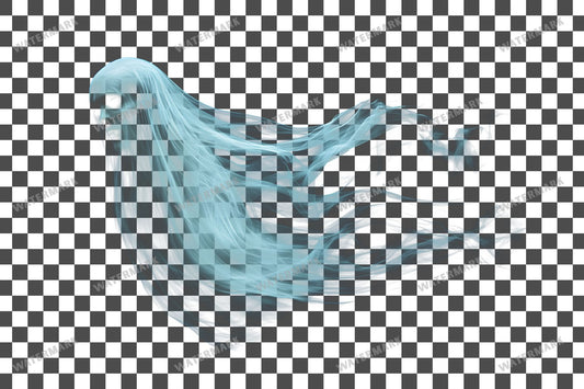Ghostly Apparition Transparent Overlay Pngs