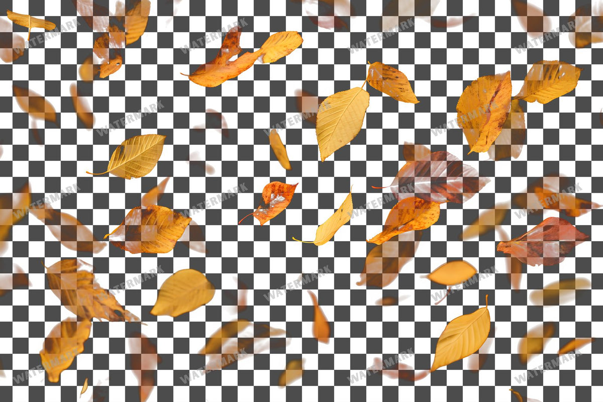 Golden Autumn Leaves Floating PNG overlay on a transparent checkered background, preview 1