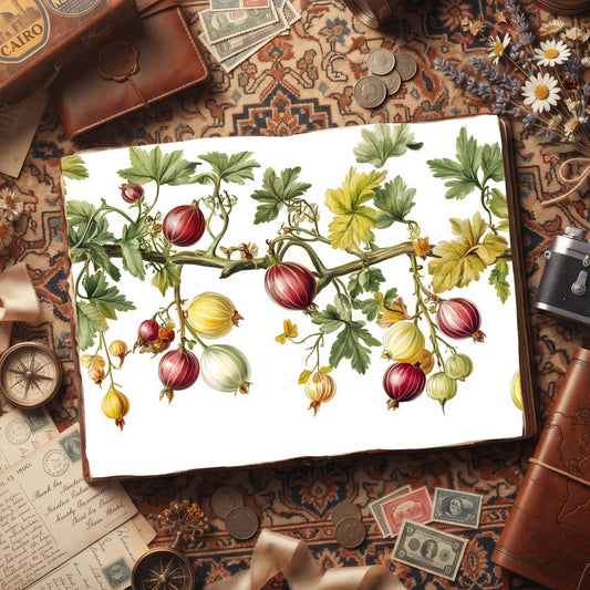 Gooseberries Digital Papers
