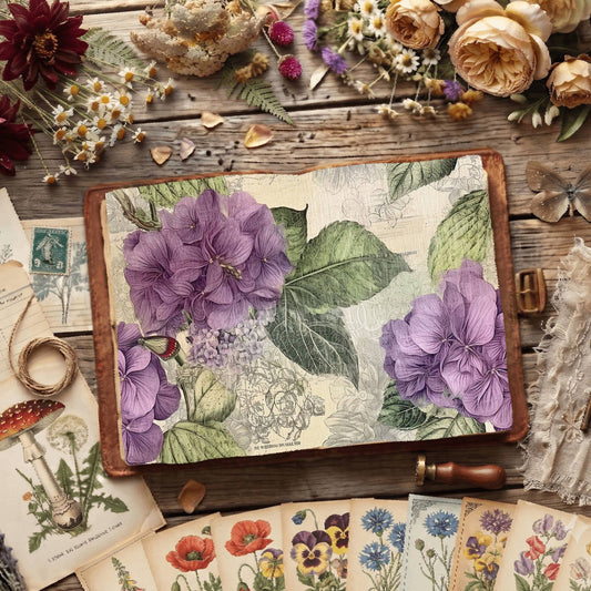 Hydrangea Flower Digital Papers
