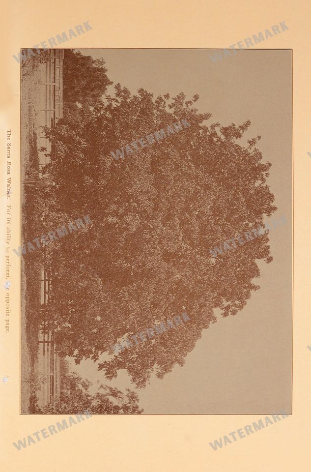 Mixed Ephemera Vintage Prints