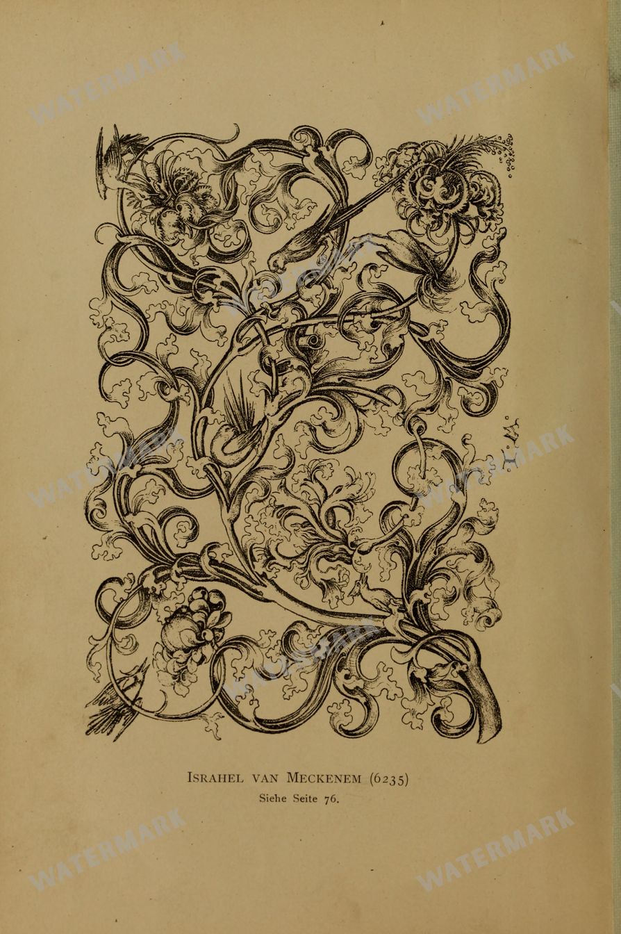 Ornament Book Vintage Prints