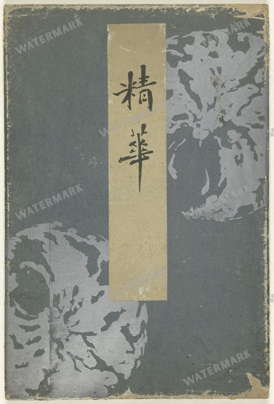 Patterns & Textiles Vintage Paintings