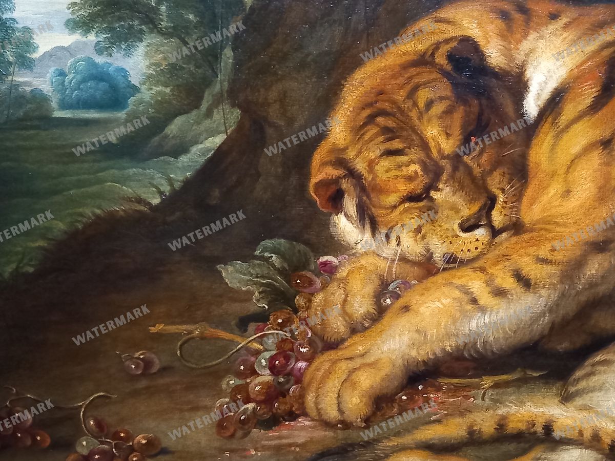 Peter Paul Rubens Vintage Paintings