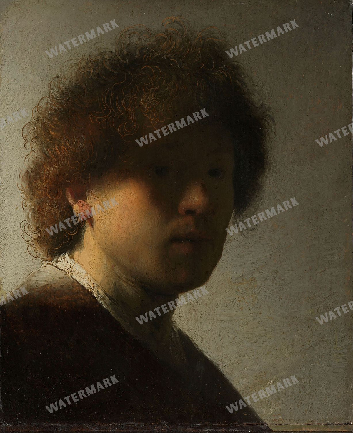 Rembrandt Van Rijn Vintage Paintings