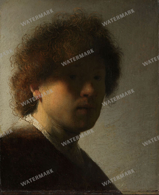 Rembrandt Van Rijn Vintage Paintings