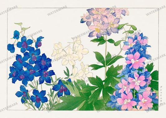 Seiyô Sôka Zufu Vintage Paintings