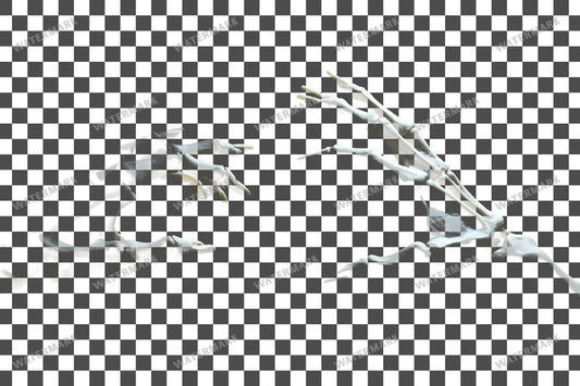 Skeleton Hands Overlay 16 Transparent Overlay Pngs