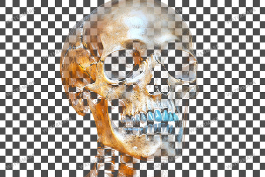Skeleton Overlay On A Black Background