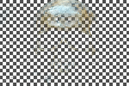 Small Gothic Skull Overlay