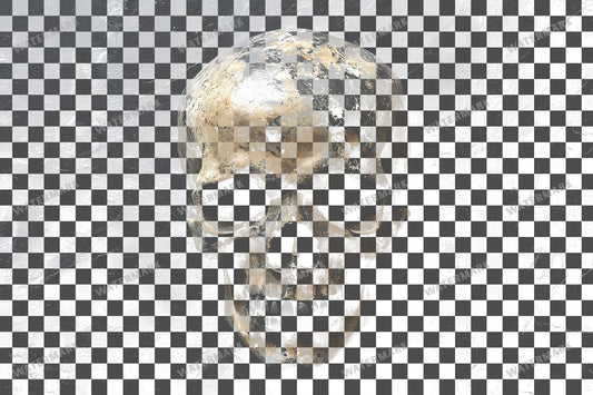 Small Skull