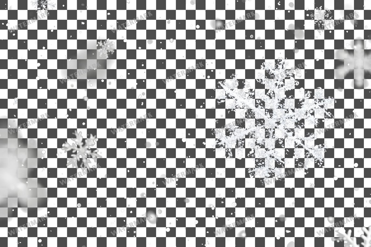 Snow Flake Overlay Lots