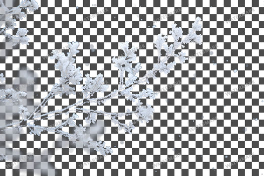 Snowy Day Lighting Soft White Transparent Overlay Pngs