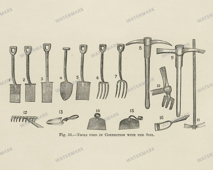 The Fruit Grower'S Guide Vintage Paintings