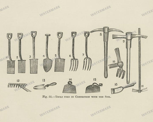 The Fruit Grower'S Guide Vintage Paintings