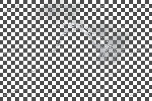 Unicorn Surrounded Amount Transparent Overlay Pngs