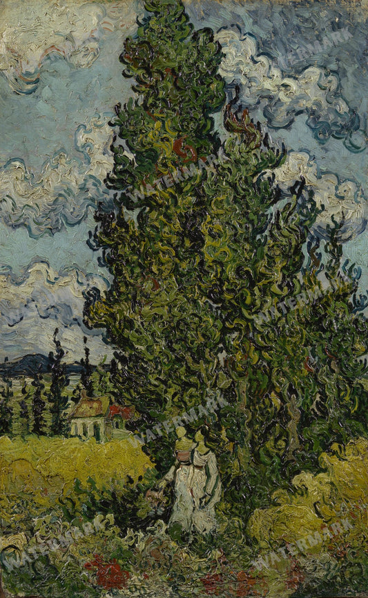 Vincent Willem Van Gogh Vintage Paintings