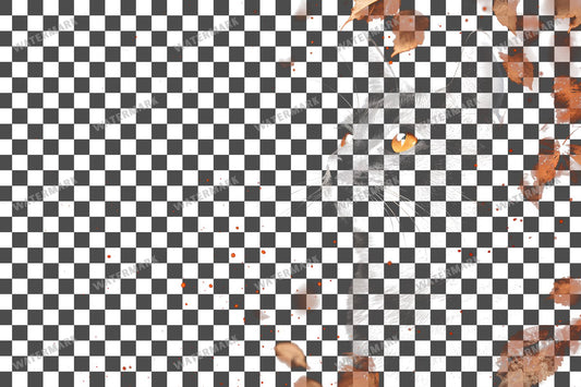 Witch Cat Transparent Overlay Pngs