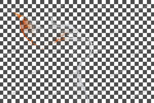 Witch Cat Transparent Overlay Pngs