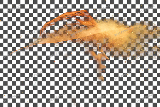 Witch Transparent Overlay Pngs