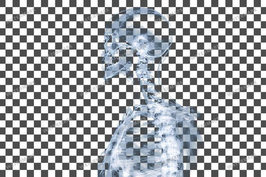 X-Ray Light Transparent Overlay Pngs