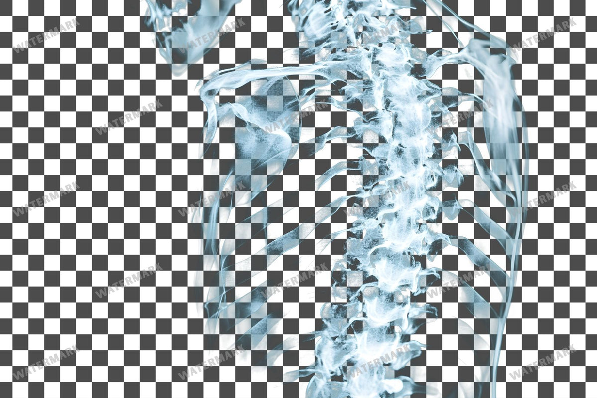 X-Ray Transparent Overlay Pngs