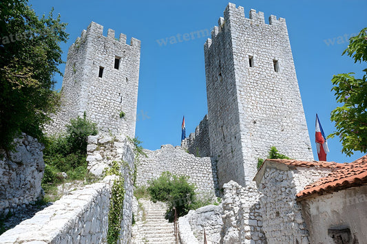 Abandoned European Castle Ruins Backdrop Images