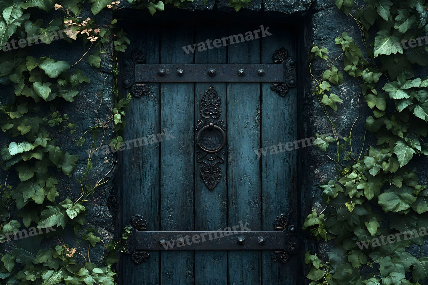 Aged Rustic Wood Door Backdrop Images