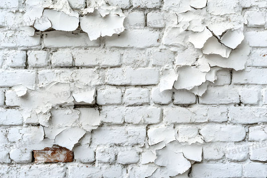 Aged Whitewashed Bricks Backdrop Images