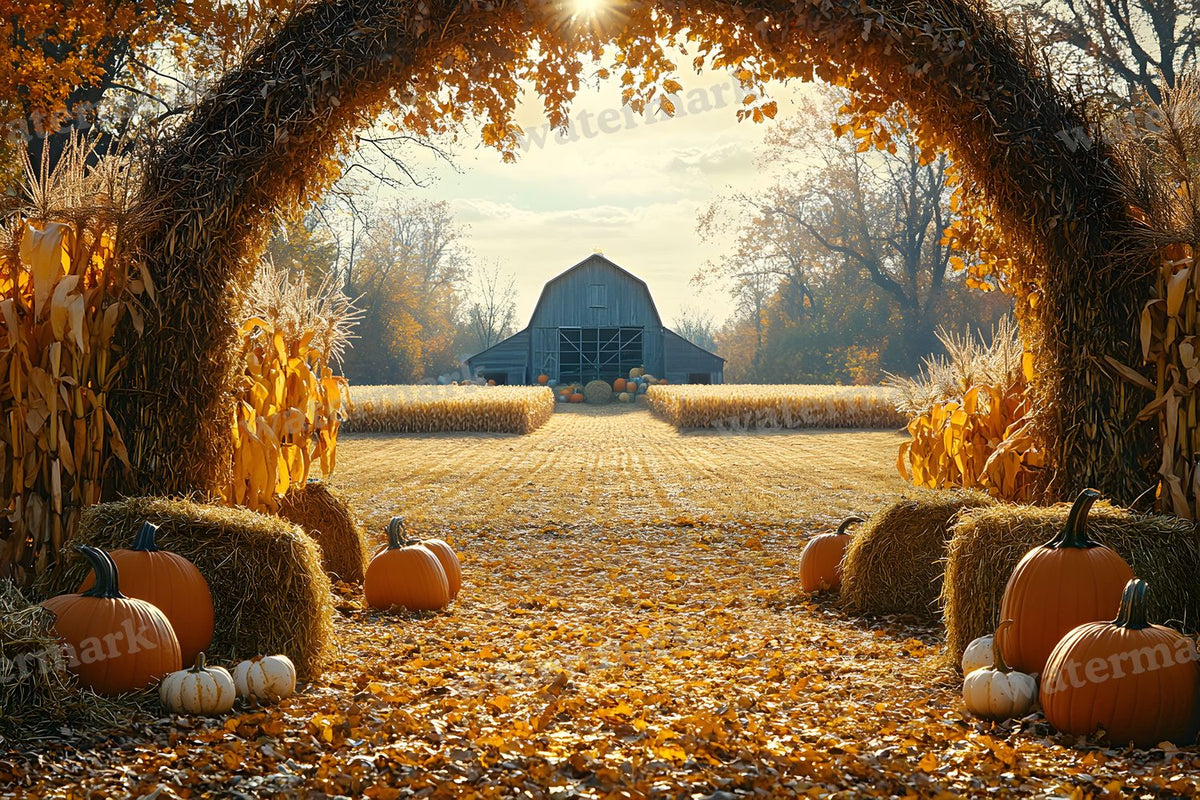 Autumn Harvest Backdrop Images