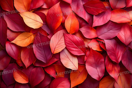 Autumn Maple Ground Backdrop Images