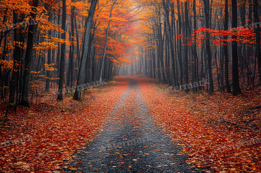 Autumn Woodland Path Backdrop Images