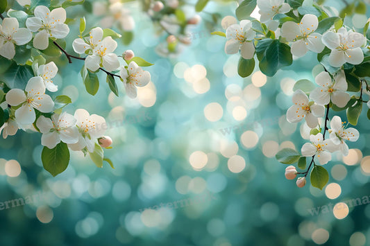 Spring Blossom Leaves Backdrop Images