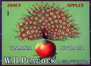 Ads Vintage Prints