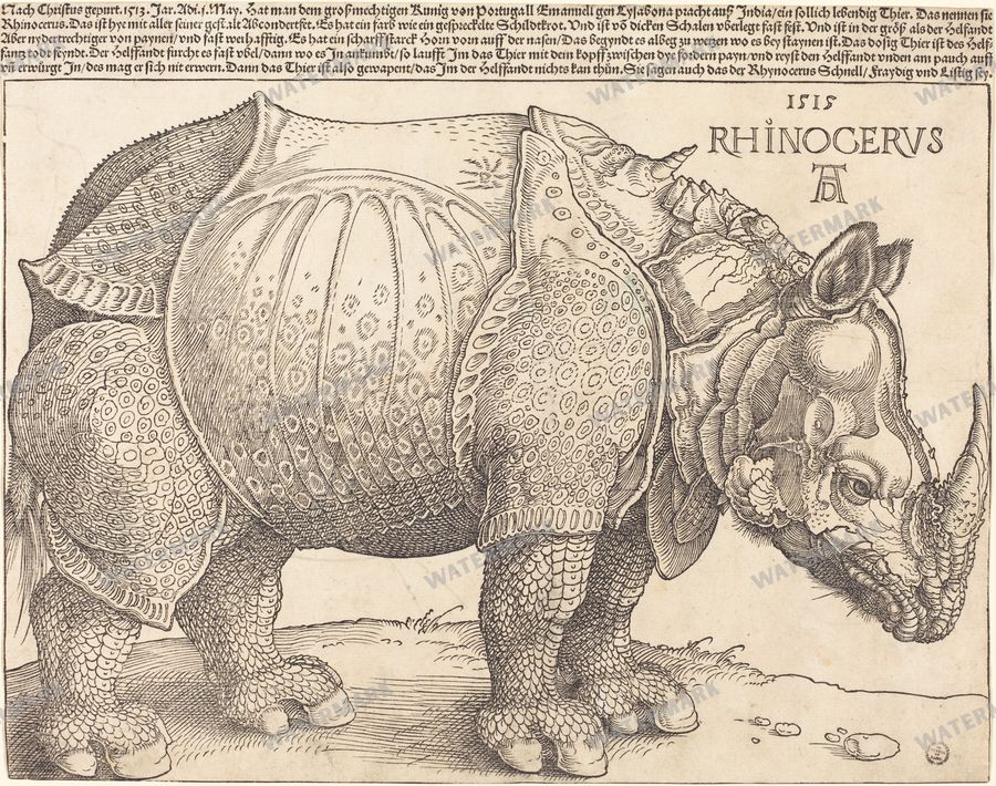 Albrecht Altdorfer Vintage Paintings