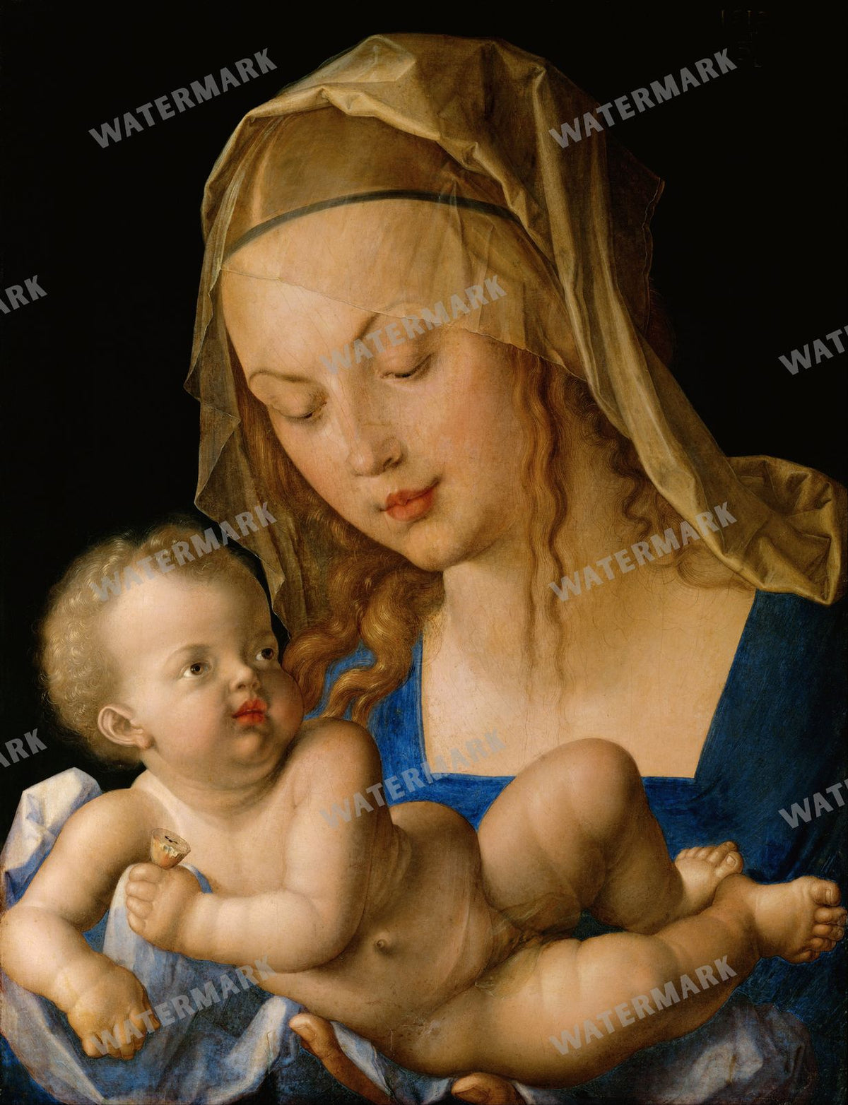 Albrecht Altdorfer Vintage Paintings